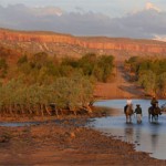 gibb_river_road_crossing