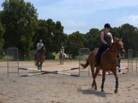 Moore Park Stables