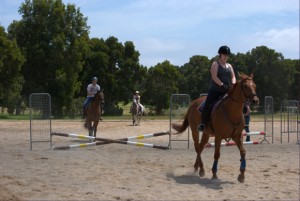 Moore Park Stables