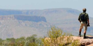 feature-bushwalk
