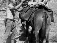 Kimberley Heritage Cattle Drive